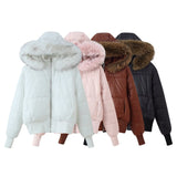 Z2025 New Fashion Temperament Women's Long-Sleeved Short Wind Coat 3046259 HZ1208