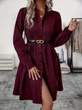 2025 Autumn And Winter New Trend Pure Color Collar Single Row Buckle Long-Sleeved Women's Fashion Long Dress HZ1208